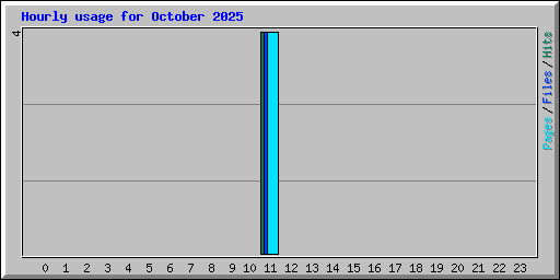 Hourly usage for October 2025