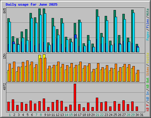 Daily usage for June 2025