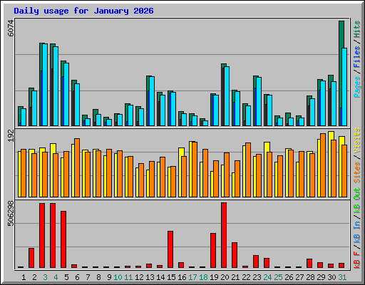 Daily usage for January 2026