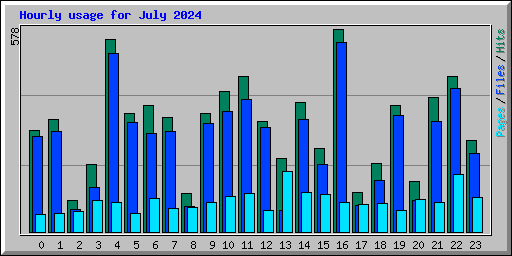 Hourly usage for July 2024