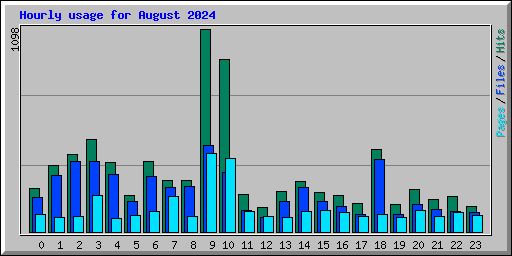 Hourly usage for August 2024