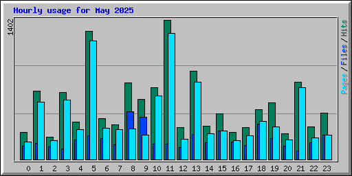 Hourly usage for May 2025