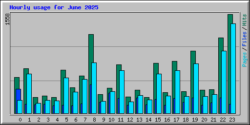 Hourly usage for June 2025