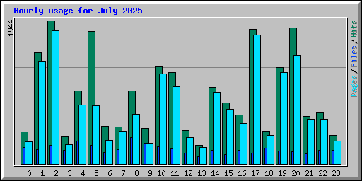 Hourly usage for July 2025