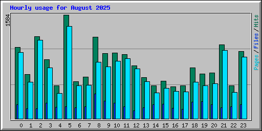Hourly usage for August 2025