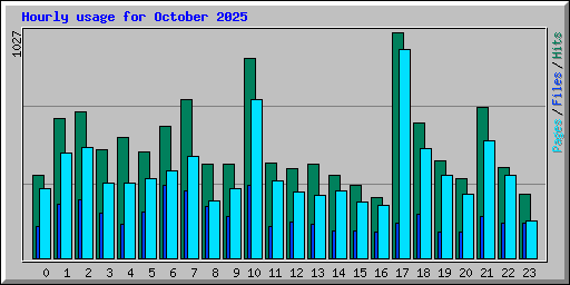 Hourly usage for October 2025
