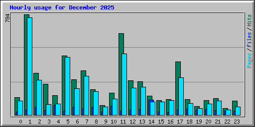 Hourly usage for December 2025