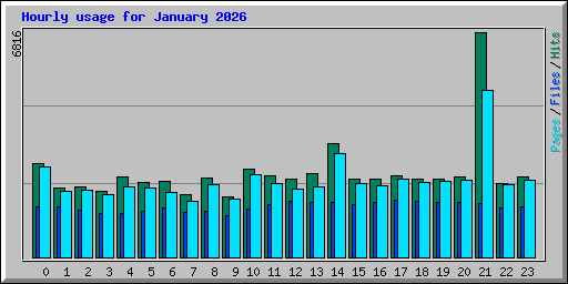 Hourly usage for January 2026