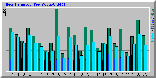 Hourly usage for August 2026