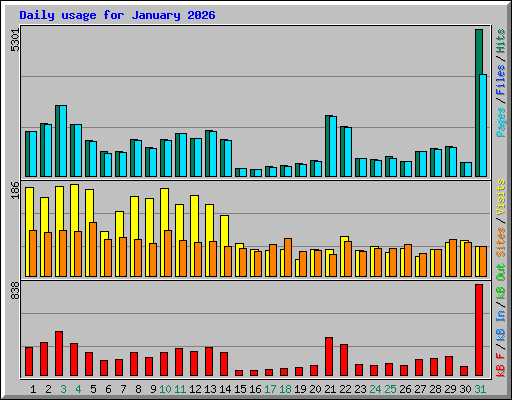Daily usage for January 2026