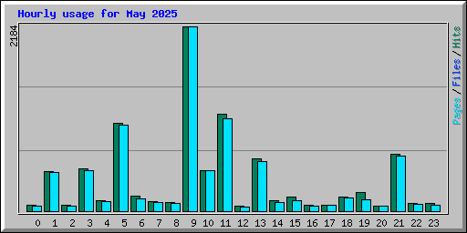 Hourly usage for May 2025
