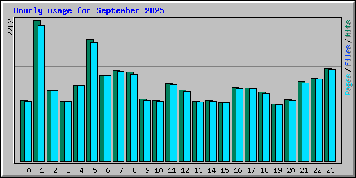 Hourly usage for September 2025