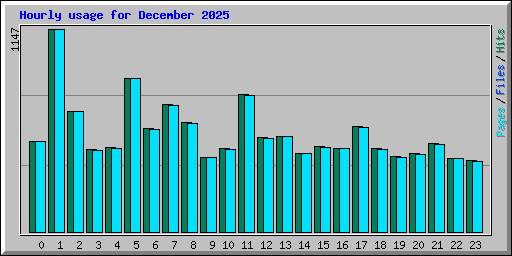 Hourly usage for December 2025