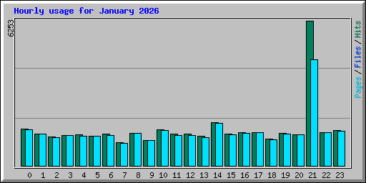 Hourly usage for January 2026