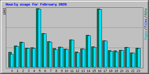 Hourly usage for February 2026