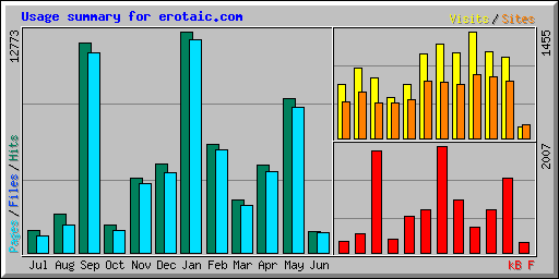Usage summary for erotaic.com